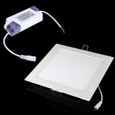 Gesso Realce